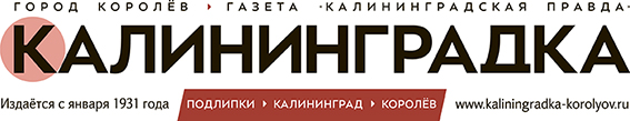 logo Союз журналистов Подмосковья