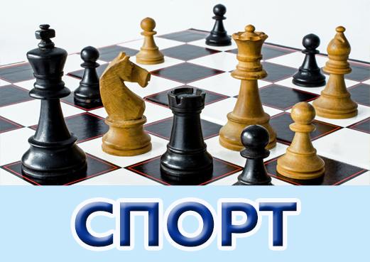 спорт-шахматы.jpg