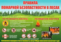 Основные причины возникновения природных пожаров