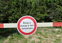 В Подмосковье введено ограничение пребывания в лесах В Подмосковье введено ограничение пребывания в лесах