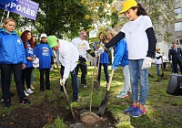 Более семи тысяч человек приняли участие в акции "Наш лес. Посади свое дерево" в Королёве 