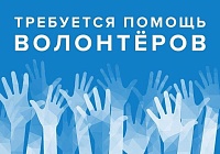 Ищем волонтёров! Ищем волонтёров!