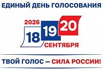 Выборы в Госдуму РФ и Мособлдуму: твой голос важен!