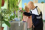 Прозрачность выборов в Королёве: роль наблюдателей Прозрачность выборов в Королёве: роль наблюдателей