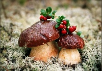 Актуально
