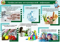 Профилактика энтеровирусной инфекции Профилактика энтеровирусной инфекции