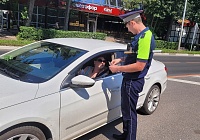 «Замечай и будь заметным»