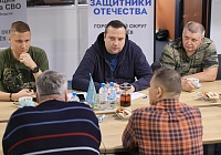 Профессиональная адаптация