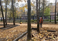 Воркаут площадка с заботой о природе