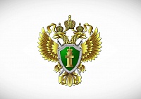 Прокуратура города Королёва сообщает