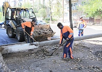 Глава города Королёва Александр Ходырев уделяет вопросу благоустройства особое внимание.