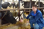 Фермеры смогут пройти онлайн-обучение по продаже продукции через интернет