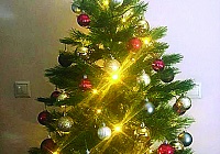 Новогодняя ель — особая ответственность