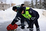 В Королёве сотрудники полиции и общественники возложили цветы к мемориалу сотрудникам, погибшим при выполнении служебного долга