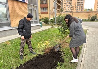 Управляющая компания «Блеск-Сервис»  совместно с жителями продолжает озеленять придомовые территории