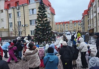 Ёлки во дворах!