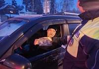 Сотрудники Госавтоинспекции в Королёве провели мероприятие по соблюдению ПДД водителями