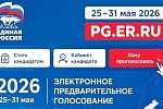 Предварительное голосование 