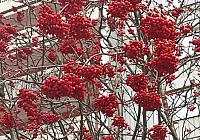 Всё идёт по спирали, мой друг